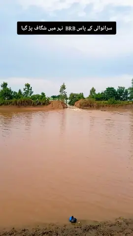 پتا نہیں کب تک کسان ایسے ہی مرے گا۔یا اللہ کسان پہ اپنا خاص رحم فرما آمین#flood2025 #foryou #tiktokteamviralmyvideo #1millionviews #unfrezzmyaccount 
