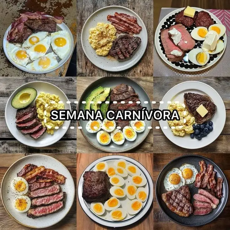 *🌺🌺COMO INICIAR a Carnívora 🌺🌺 Primeiro: exclua definitivamente o açúcar e carboidratos, adoçantes, deixe sua alimentação proteica, na carnivora, se alimente de carnes vermelhas, aves, porco, peixe, carne de caça, ovos até saciar e queijo (moderadamente). Faça por uns dias essa alimentação, até seu organismo se adaptar. Quando perceber que esta ficando sem fome, vc esta entrando em cetose, e ai será um excelente momento para iniciar o jejum. Se nunca fez, inicie aos poucos.. 16h, 20h.. ai faz 24h e ai assim vai. A quantidade de horas no jejum prolongado, vai de acordo com o que a gente consegue, claro, sem por a saude em risco. E sobre intervalos de um para o outro, não tem uma regra clara.. precisa se testar... e semrpe tentar intercalar uns maiores e outros menores, e dias sem nenhum jejum, para o organismo nao acostumar... Jejum é para ser uma ferramenta pra gente associar a nossa dieta.🌺💪🏽💪🏽