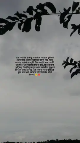 😅💔