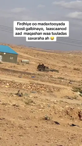 Saxarihii libia baad mooda tuulada laascaanod 😂