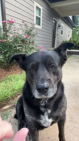 🥰
