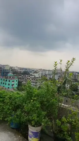 তুই আমার দুটি চোখের তারারে তোর জন্য মনটা পাগল পারা রে#💜💜 #টিকটক #বাংলাদেশ #অফিশিয়াল #🇧🇩🇧🇩 