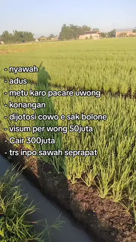 neng rs di tilik i konco sak dulur e tambah neh 5jt😂#fyp#petaniindonesia🇮🇩🇮🇩🇮🇩🌿🌿 #petanimilenial 