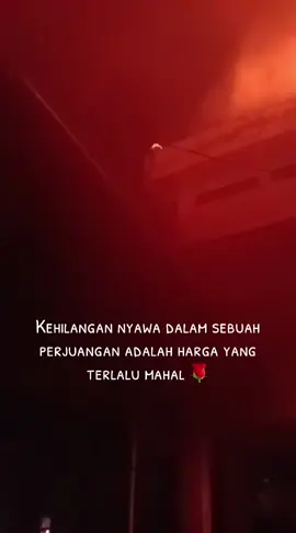 Semoga perjuangan ini tidak sia-sia #demo #demomakassar #demobandung #demodpr #kantordprdibakar 