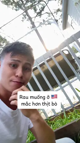 Cắt rau muống sáng sớm #vietlelucmoiquamy #cuocsongmy 