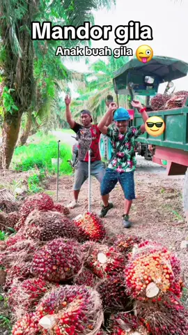 Mandor gila😜 #abdrahmansyam #bangrahman #sawit #kelapasawit #fypシ゚ 