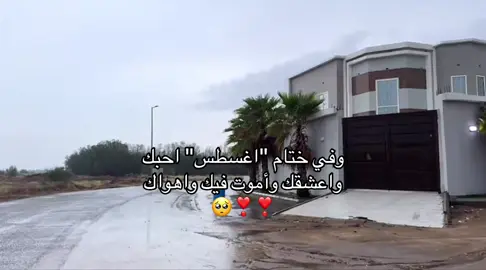 @؟_@تــالا🌷🤍 🥹❣️_ختام_اغسطس_احبك_واعشقك_واموت فيك_واهواك🥺❣️