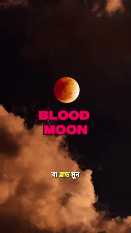 A lunar eclipse is upon us!! #fyp #lunareclipse #Astronomy #viralvideo #bangladesh🇧🇩 