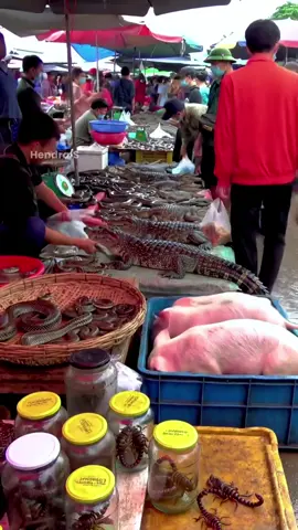 Pasar Hewan Fenomenal 
