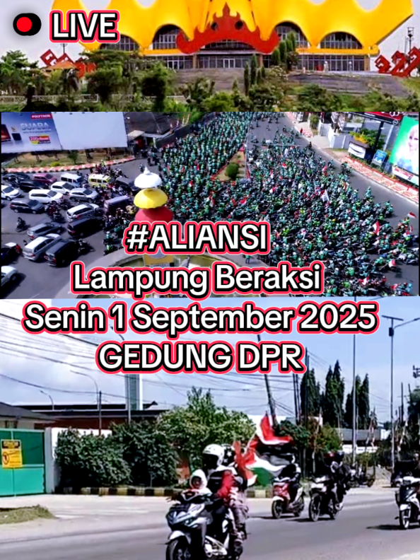 #aliansi  #lampung #beraksi 🔥🔥🔥🔥🔥🔥🔥🔥🔥🔥