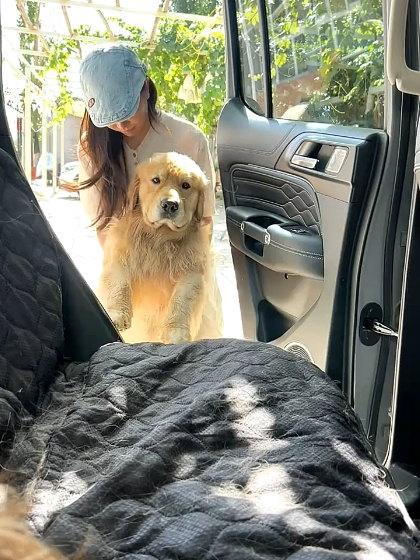 ☹️😅#dog 