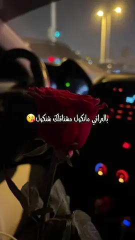 كون ماعوفك بعد🫂❤️🫀رعد الناصري #رعدالناصري #اغاني #fyp #viral #tiktok 