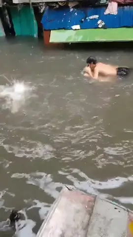 BABALA: Paalala ng DOH, maaaring magkaroon ng sakit na leptospirosis ang paglangoy sa baha PANOORIN: Nagmistulang swimming pool ang abot dibdib na baha sa bahagi ng Brgy. Talayan Riverside sa Quezon City dahil sa malakas at tuloy-tuloy na pag-ulan ngayong Sabado ng hapon, August 30. Makikita sa video na kuha ni YouScooper Mary Ann Pareja ang mataas na baha sa kanilang lugar na halos umabot na sa bubong ng mga bahayan. Sa kasalukuyan, pababa na aniya ang baha dahil tumigil na pag-ulan, ayon kay YouScooper Mary Ann. #YouScoop #GMANews  COURTESY: YouScooper Mary Ann Pareja