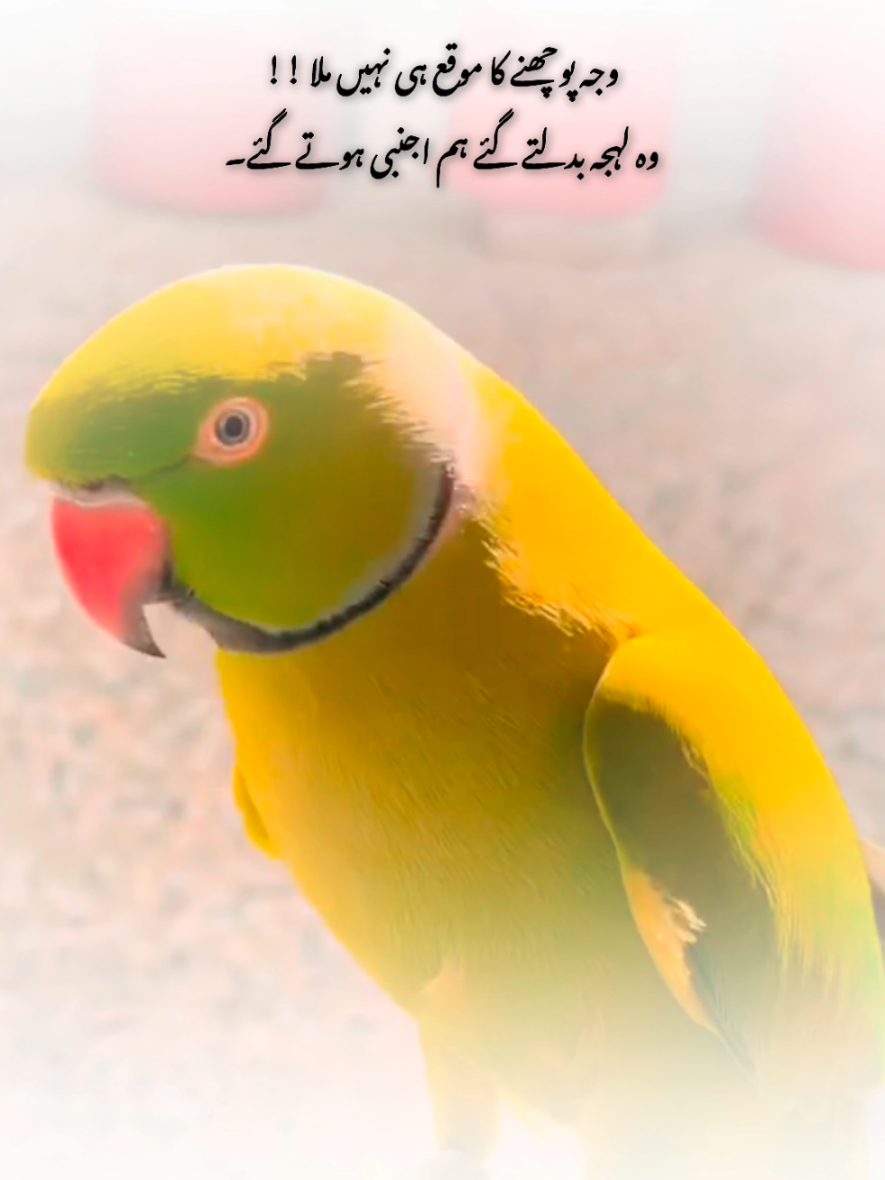 ❤️‍🩹🥹#foryou #flypシ #1millionaudition #poetry #myousaf 