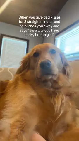 Like dad! I’m just waiting for my @Woof Pet Doggy Dental Pupsicle Pops to be delievered!!!  This weekend you can use Code: Violet20 to save on yours to avoid those awkward “stinky breath” comments!! 🥳 Use the link in bio! 💜 #WoofLDW #goldenretriever #dogsoftiktok #stinky #happy 