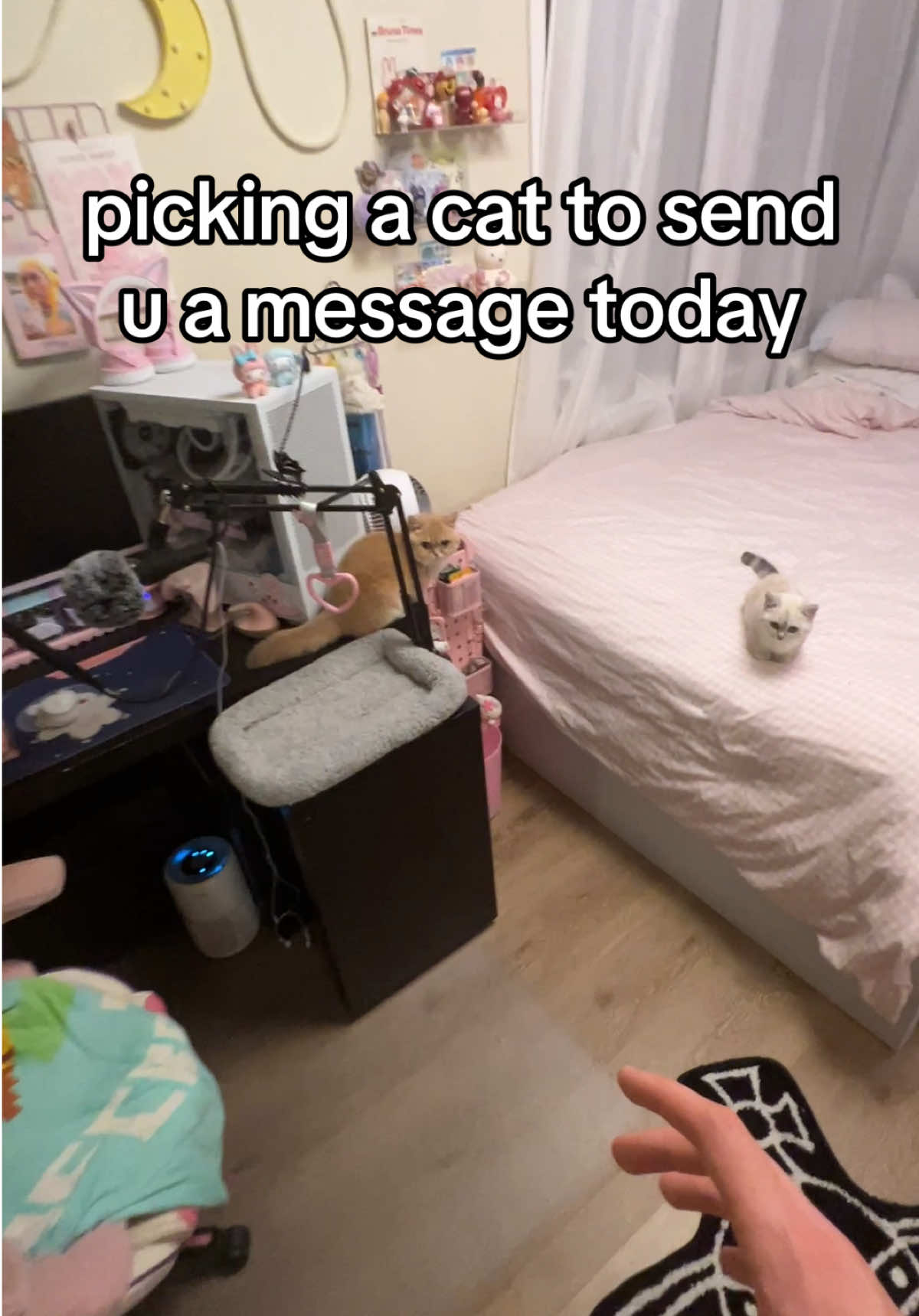 what did u even expect #fypppppppppppppppppppppppppppppp #doobscoobgoob #catsoftiktok 