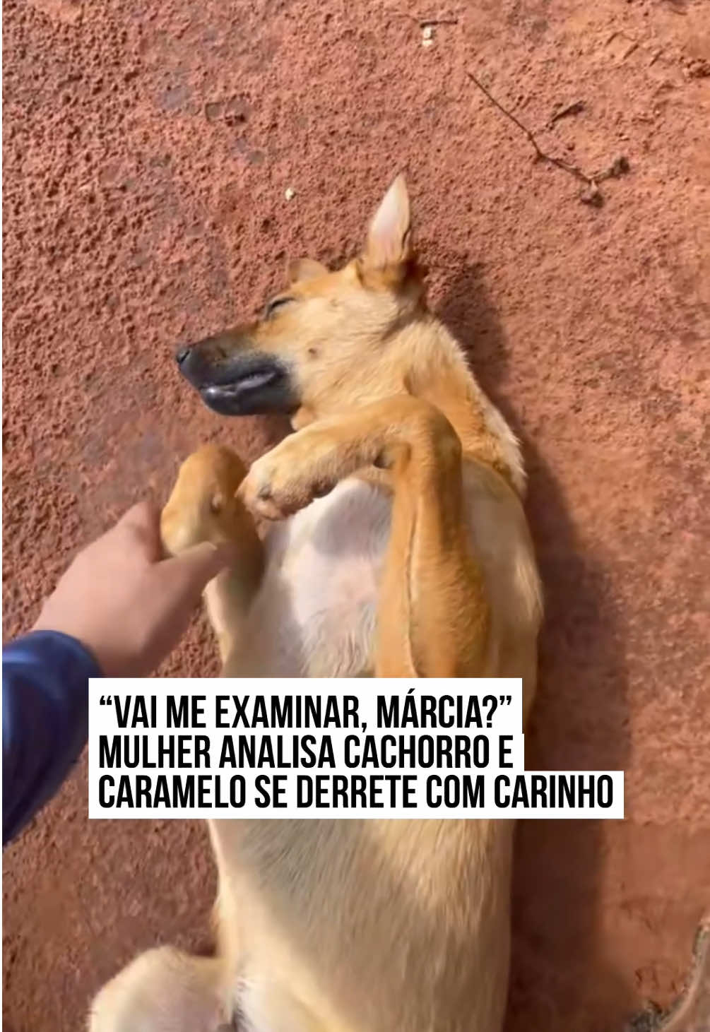 🥰🐶 A criadora de conteúdo Roberta Cristina registrou um momento para lá de dengoso de um #caramelo. No vídeo, a mulher 