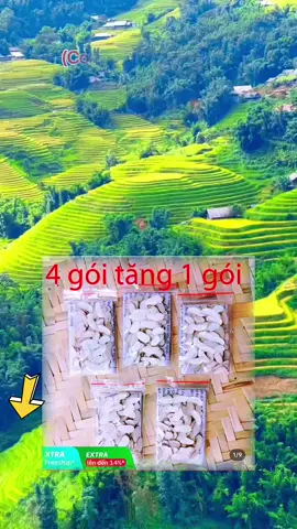 combo 4 gói tặng 1 gói, hạt sang trắng Tây Bắc tốt cho dạ dày và đại tràng#Nguyenhien #xuhuong #