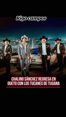 #frypgシ #musica #chalinosanchez #tucanesdetijuana 🎶🎶