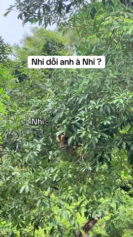 Nhi ơi lại dỗi à#VinWonders #GreenCreator #dulich #vinpearlsafariphuquoc #xuhuongtiktok 