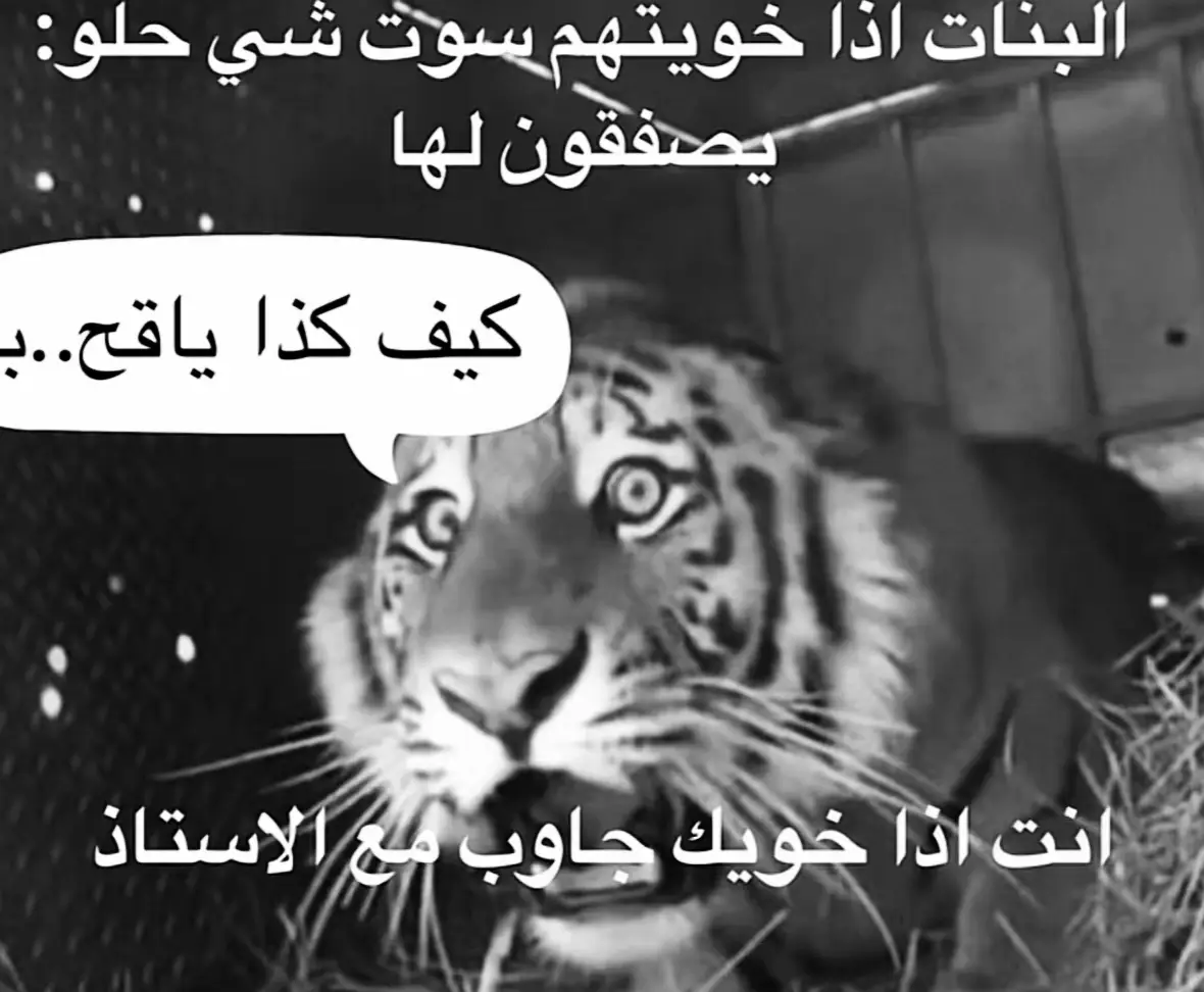 #الله_يرحمك_ويجعل_مثواك_الجنه_يارب #اللهم_صلي_وسلم_وبارك_علي_سيدنا_محمد #اللهم_صلي_على_نبينا_محمد💓🕋📿 