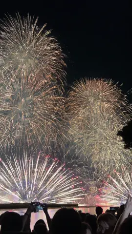 Incredible fireworks over Taipei at the Summer Festival 2025! The vibe was so beautiful and totally crazy – unforgettable night! 🎆🔥 #Taipei #SummerFest2025 #FireworksShow #FestivalVibes #crazynight 