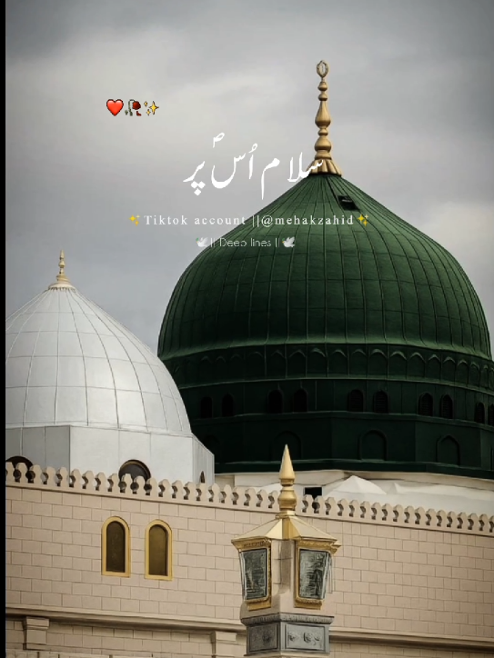 𝑳𝒂𝒂𝒌𝒉𝒐𝒏 𝑫𝒓𝒐𝒐𝒅 𝒐 𝑺𝒂𝒍𝒂𝒎 🤲📿🌸✨ ...... #islamic_video  #creatorsearchinsights #hazrat_muhammad_s_a_w_w #12rabiullawal #fyp  @TiktokPakistanOfficial 