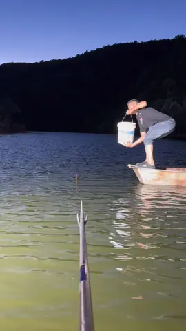 Xả Ổ Như Này Đủ Cắt Móm Chưa Ae 😂 #cauca #caudai #câucá #fishing #caucagiaitri 