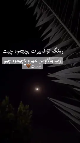 رەنگە تۆ لەبیرت بچێتەوە چیت وت بەڵام من لەبیرم ناچێتەوە چیم بیست🤎”#slimani_سليماني_hawler_هه_ولير🖤 #activ 