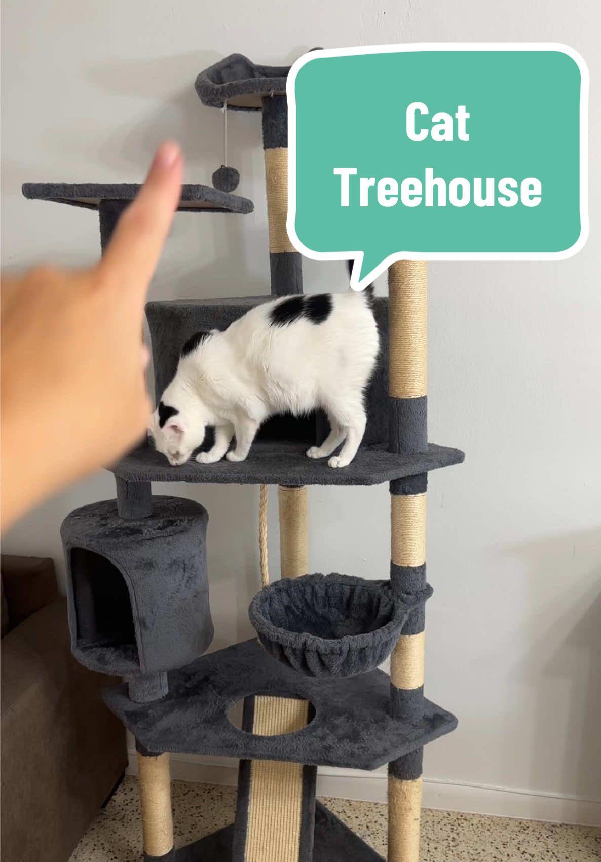 my cats never get off this thing fr 😻 #catmom #catdad #catparents #catgifts #catlover 