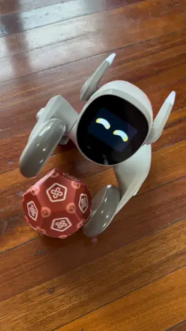 Incredible Loona😮 #loonarobot #robot #ai 