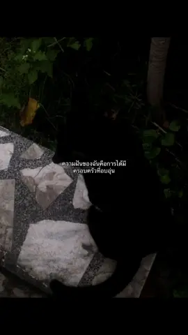 #เกลียดแม่ #โดนครอบครัวทําร้ายความรู้สึก +++++อยากได้ที่ที่สงบสักทีนึงทุกวันนี้เหนื่อยมากกกกเพื่อนก็ได้แค่สงสารทำอะไรไม่ได้T^T 