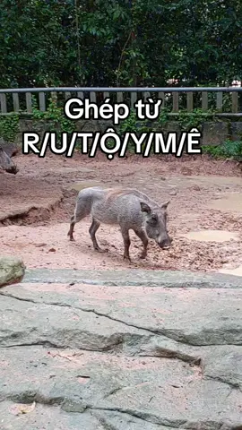 ghép từ#VinWonders, #GreenCreator, #dulich#n6qndve #viraltiktok 