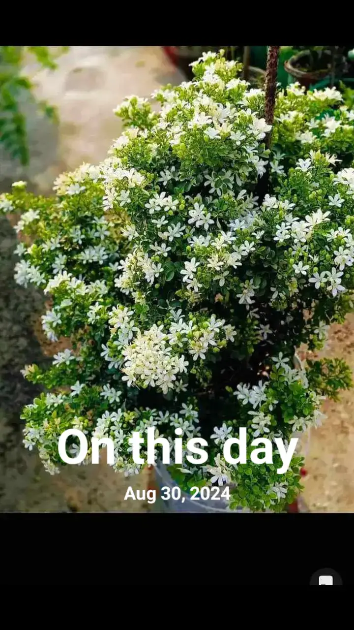 #onthisday