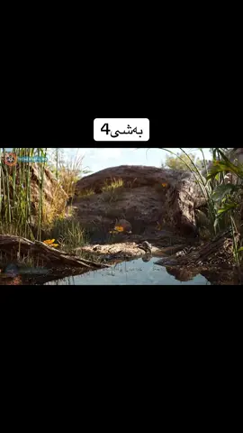 Every thing is fake
