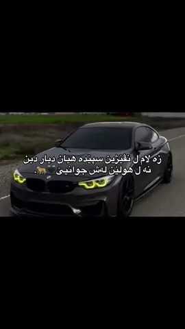 🐆🖤.#foryou #viral #fuun #duhok_zaxo_amedi_semel_akre #kurdstan🇹🇯️ 