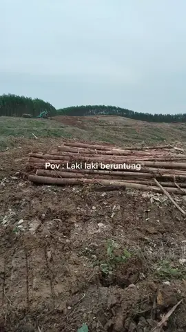 #CapCut 