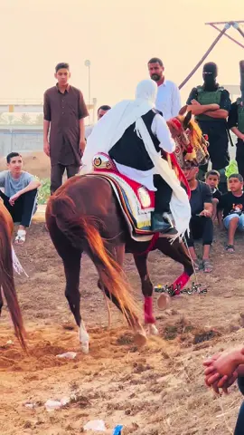الي عندو عود قادر فالركوب يشد في لجامو 🫡👌🏾#خيل_وخياله🐎 #خيل #الخيل #خيل_عربي_اصيل #نادي_العاديات_مصراته🔱 