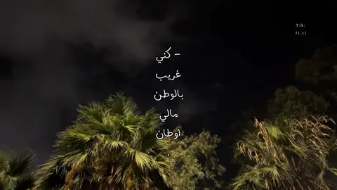 كني غايب بالوطن مالي اوطان 🧑🏻‍🦯 . #مسفر_بن_دريميح #تصميمي #foryo #fyp 