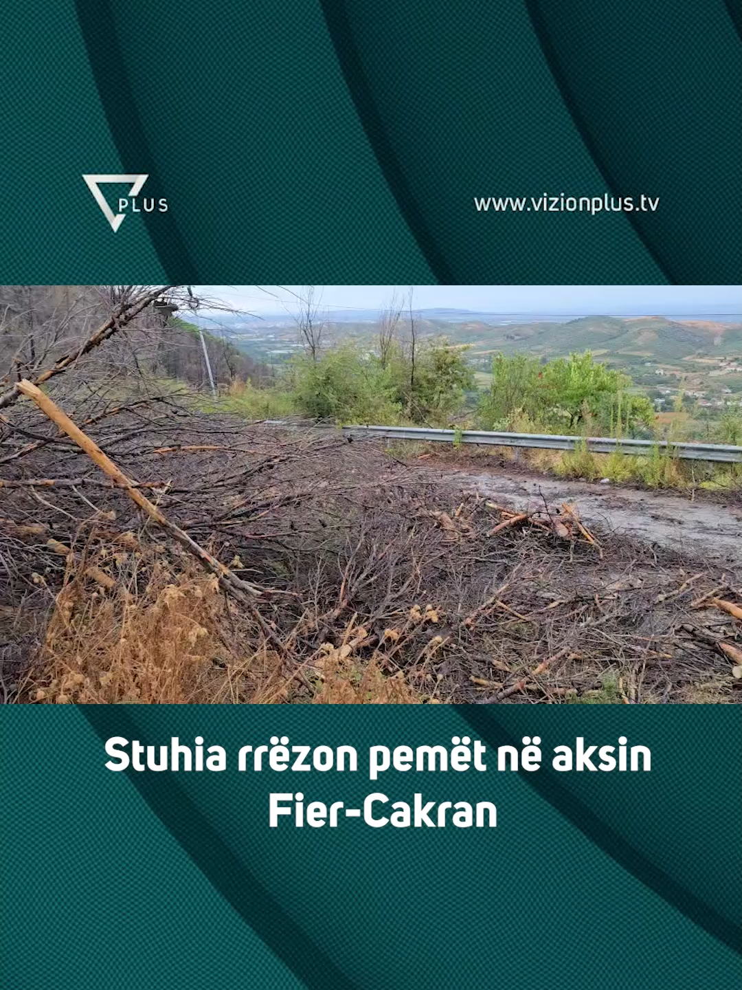 Stuhia rrëzon pemët në aksin Fier-Cakran #vizionplus #fyp