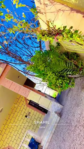 ي خيه تراب للحد حار وچتلني😔