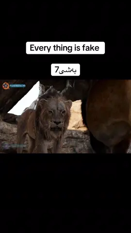 Every thing is fake 