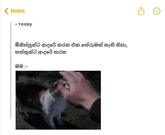🙂💗 #catlover #catsoftiktok #fyp #viral #foryou 