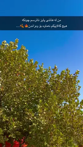 با پایز بهێت هیچم ناوێت🍁🍂…#fypシ゚ #viral #tiktok #foryou #payiz 