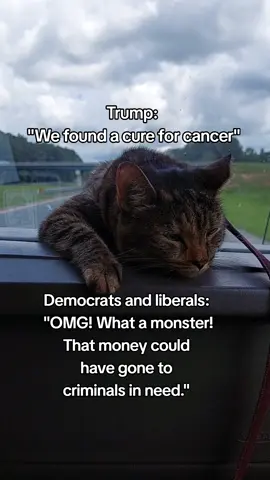 This is the left #trump #winning #usa🇺🇸 #democrats #republicans 