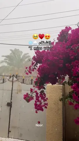 🌨️☃️#الشتاء🎻🎼 #اجواء_الشتاء #اجواء_شتوية #اكسبلورexplore #الشعب_الصيني_ماله_حل😂😂 