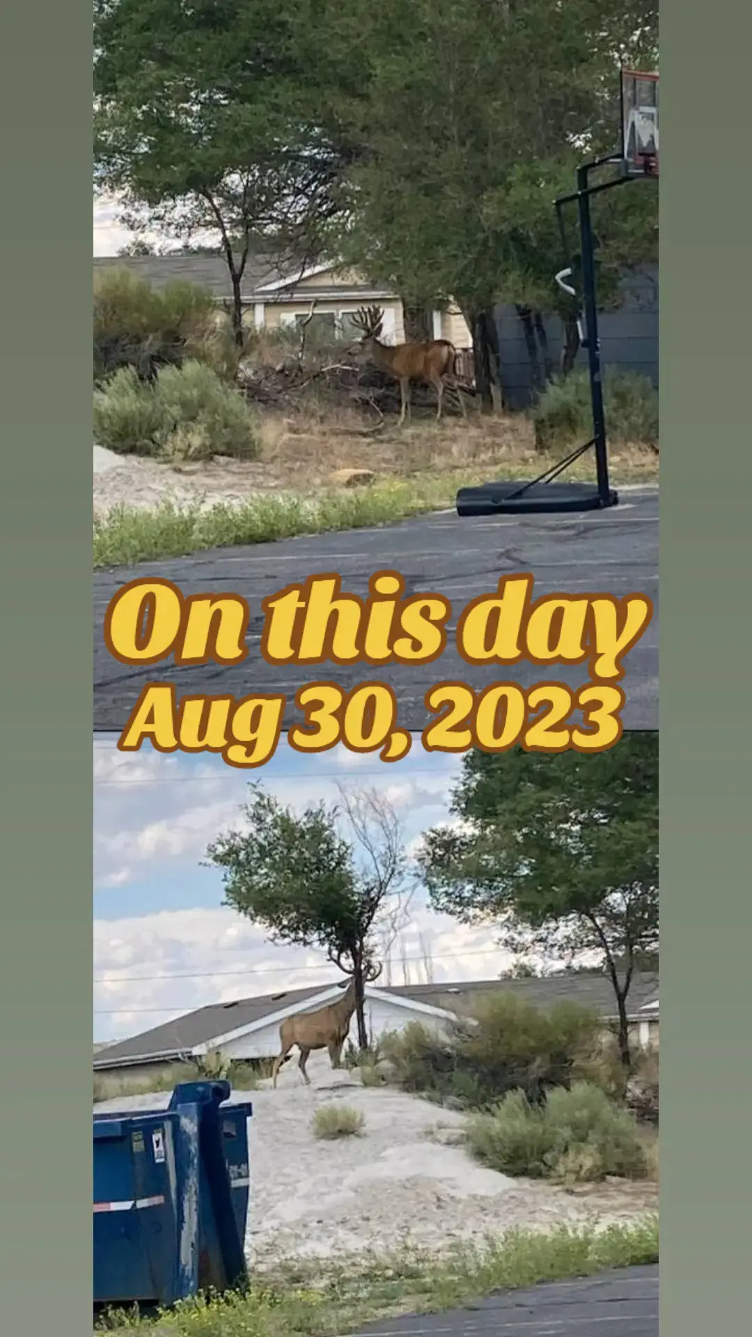 #onthisday #fyp #foryoupage #tiktok #fypシ 