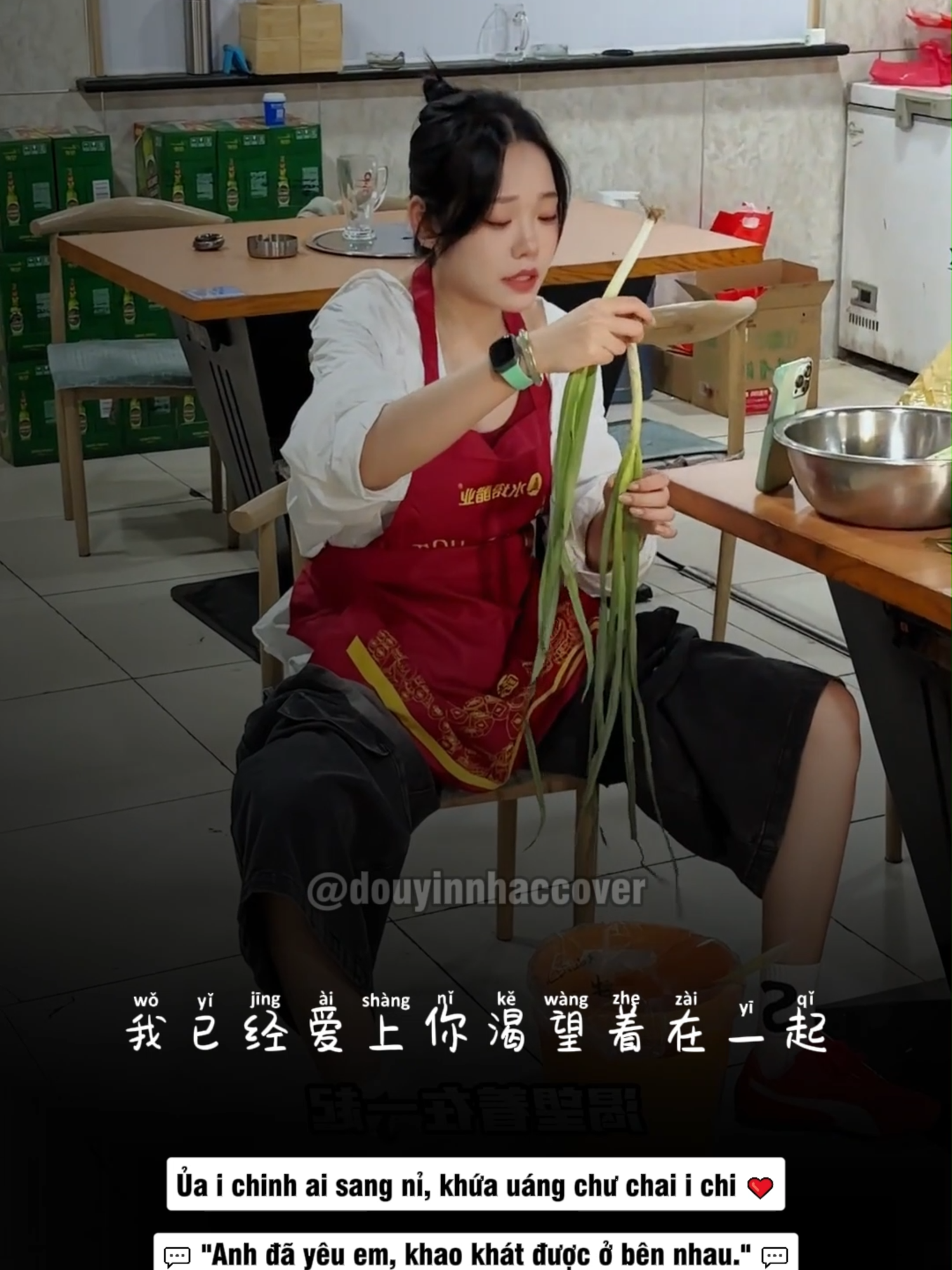 Anh Đã Yêu Em Mất Rồi #nhactrungquoc #nhachaymoingay #covers #music #lyrics #vietsub #douyin
