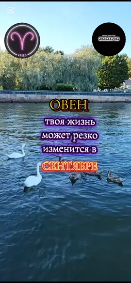 #астропрогноз #гороскоп #рекомендации #овен #longervideos 