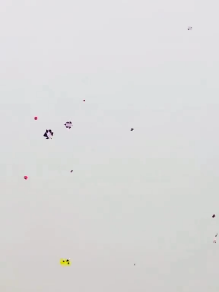 | GALTI BATAO | #kitelover #kiteflying #bwp #viral #foryou 